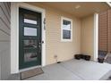 Inviting front door with three glass panels, leading into a modern home at 2615 Mayotte Way, Castle Rock, CO 80109