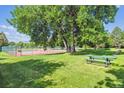 Scenic shot of community tennis courts under a large shade tree, offering a serene recreational setting at 4059 Nevis St, Boulder, CO 80301
