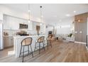 Bright, open-concept living space with modern kitchen island, sleek appliances, and comfortable seating area at 2920 W Parkside Pl, Denver, CO 80221