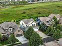 Aerial view of homes with green lawns and mature trees in an attractive residential neighborhood at 12996 Banyon Cir, Parker, CO 80134