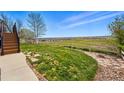 Spacious backyard with a wooden fence and a pathway with scenic views at 12996 Banyon Cir, Parker, CO 80134