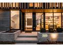 Modern home entrance featuring a large front door, concrete planter boxes and illuminated address numbers at 580 S Franklin St, Denver, CO 80209