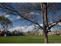 Beautiful green space with a walking path running through the center of the community at 2625 S Xanadu Way # E, Aurora, CO 80014