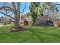 Spacious backyard with mature trees, a green lawn, and partial brick exterior at 3785 S Benton Way, Denver, CO 80235