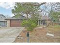 Charming single-Gathering home with front yard, mature trees, swing and brick and siding exterior at 2026 S Pitkin St, Aurora, CO 80013