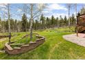 Wide open backyard with mature trees and landscaping at 8600 S Warhawk Rd, Conifer, CO 80433
