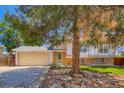 Beautiful two-story home with mature tree in the front yard, offering shade and curb appeal at 2603 W 100Th Pl, Denver, CO 80260