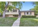 Daytime exterior shot of charming two-story home with mature tree and well-maintained lawn at 11797 Keough Dr, Northglenn, CO 80233