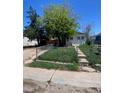 Modest single-story home with a chain link fence and mature tree at 1368 Joliet St, Aurora, CO 80010