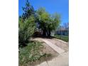 Modest single-story home with a chain link fence and mature trees at 1368 Joliet St, Aurora, CO 80010