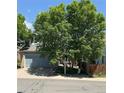 Charming blue home with a mature shade tree in a well-kept neighborhood at 5425 W 115Th Pl, Westminster, CO 80020