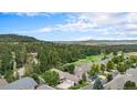 Scenic aerial view of the community showcasing lush greenery and mountain views at 1405 Castlepoint Circle, Castle Pines, CO 80108