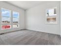 Spacious bedroom featuring neutral carpet, white walls, and several windows offering lots of natural light at 8672 Pennycress Dr, Littleton, CO 80125