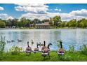 Scenic lake view with geese on the grass and water, set against a backdrop of lush trees and a building at 1215 S Ogden St, Denver, CO 80210