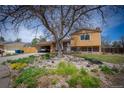 Charming home with rock garden, mature tree in yard, driveway, and a brick and siding exterior at 1562 Madison Ct, Louisville, CO 80027