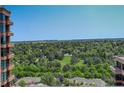 Expansive aerial view of lush green space and park extending into the distance from a high vantage point at 8100 E Union Ave # 1502, Denver, CO 80237