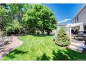 Spacious backyard with lush green lawn, mature trees, and a charming patio area at 10142 Mountain Maple Dr, Highlands Ranch, CO 80129