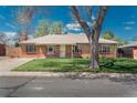 Classic brick home with a well-manicured lawn and mature trees offering shade and curb appeal at 1077 Salem St, Aurora, CO 80011