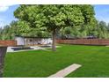 Expansive backyard with a lush lawn, mature tree, and privacy fence, perfect for outdoor enjoyment at 6511 S Cedar St, Littleton, CO 80120