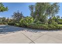 Long driveway leading to the home surrounded by lush greenery and mature trees at 5480 S Holly St, Greenwood Village, CO 80111
