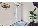 Bright entryway featuring a stylish front door, modern decor, and wood flooring at 6893 Decatur St, Denver, CO 80221