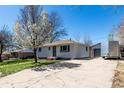 Quaint home with a manicured lawn, complemented by a blossoming tree in the front yard at 7977 Durango St, Denver, CO 80221