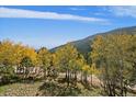 Scenic view of yellow aspen trees in the Colorado mountains against a bright blue sky with light cloud cover at 239 Aspen Pl, Evergreen, CO 80439