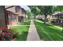 Well-manicured townhome community featuring lush green lawns and mature shade trees at 442 S Carr St, Lakewood, CO 80226