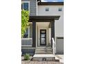 A charming front porch featuring a modern glass door, dark pillars, and a well-maintained entrance at 81 Simmental Loop, Castle Rock, CO 80104