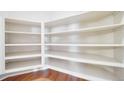 Spacious walk-in pantry with ample shelving, offering plenty of storage space in a well-organized design at 12340 Syracuse St, Thornton, CO 80602