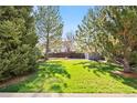Lush backyard featuring a well-maintained lawn, mature trees, and a fenced perimeter for added privacy at 10894 Depew Pl, Westminster, CO 80020