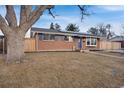 Charming single-story home with a well-maintained lawn and mature tree at 7266 S Birch St, Centennial, CO 80122
