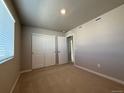 Bright bedroom with plush carpeting, a large window, and a closet with sliding doors at 48290 Shetland Dr, Bennett, CO 80102