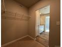 Walk-in closet featuring built-in shelving and carpet, with a peek into the en suite bathroom at 48290 Shetland Dr, Bennett, CO 80102