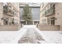 Exterior courtyard view featuring covered patios and a large evergreen tree at 1200 Cherokee St # 106, Denver, CO 80204