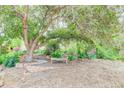 Relaxing backyard retreat featuring a mature tree, a wooden bench and landscape at 9743 W 67Th Pl, Arvada, CO 80004