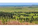 Expansive land showcasing open meadows and scattered trees offering serene privacy and natural beauty at 53 Canyon Pines Dr, Golden, CO 80403