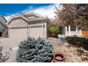 Attractive home exterior featuring a two-car garage, stone facade, and neatly arranged landscaping elements at 11302 Mesa Verde Pl, Parker, CO 80138