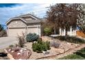 Inviting exterior view showcasing the stone accents, manicured landscaping, and well-maintained front yard at 11302 Mesa Verde Pl, Parker, CO 80138