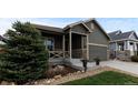 Landscaped single-Gathering home with a covered porch and a two-car garage featuring a beautiful blue spruce tree at 549 Tippen Pl, Castle Rock, CO 80104