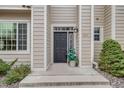 Attractive front door with decorative plants, great curb appeal at 1311 Carlyle Park Cir, Highlands Ranch, CO 80129