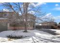 Two-story townhome featuring a tree in the front yard with snow on the ground at 5154 E 126Th Ct, Thornton, CO 80241