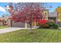 Charming home featuring a well-manicured lawn and a beautiful red tree providing shade and curb appeal at 11409 Jay St, Westminster, CO 80020