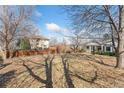 Expansive backyard featuring mature trees and a wooden fence, offering privacy and space for outdoor activities at 1900 S Gilpin St, Denver, CO 80210