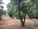 Overlooking a grassy expanse with mature trees bordering the property at 5302 Tennyson St, Denver, CO 80212