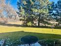 Backyard with a round table and view of mature trees, shrubs, and lawn at 5284 Taft Ct, Arvada, CO 80002