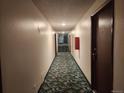 Condo hallway with patterned carpet, unit doors, and access to stairs and an exit at 9650 Huron St # 23, Thornton, CO 80260
