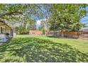 Spacious backyard featuring a large grassy area and a wood fence, shaded by mature trees at 6436 Otis St, Arvada, CO 80003