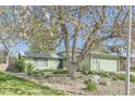 Landscaped front yard featuring a large tree and well-maintained lawn at 547 S Flower St, Lakewood, CO 80226
