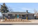 Charming single-story home with gray brick, a well-manicured front yard, and a welcoming blue front door at 8331 Oakwood St, Westminster, CO 80031